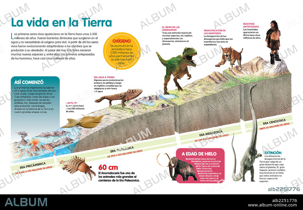 La vida en la Tierra. Infografía que describe la evolución de la vida en la Tierra a través de las eras geológicas.