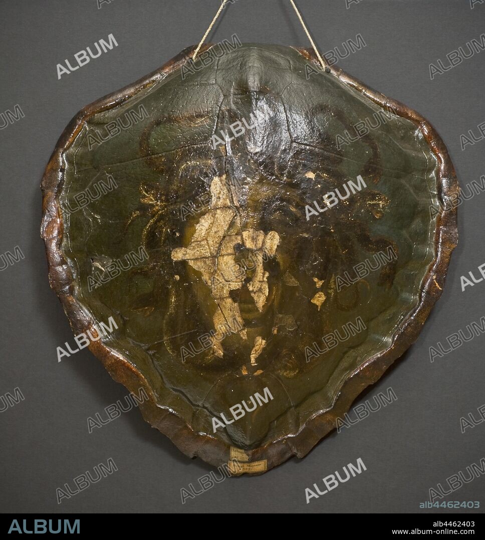 Giacinto Calandrucci, Medusa Head, Oil on Turtle, Height, 49 cm (19.2 inches), Width, 48 cm (18.8 inches).