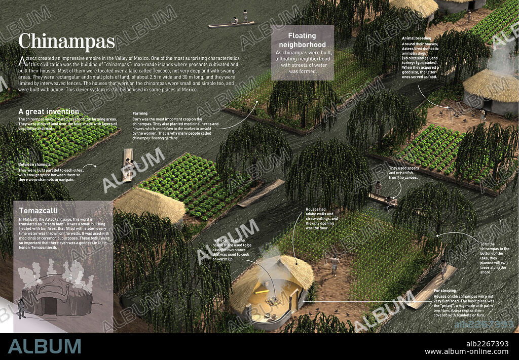 chinampas. Infographic about Chinampas, an ancient agricultural and land extension Mesoamerican method (belonging to the Toltecs first, and the Aztecs, later).
