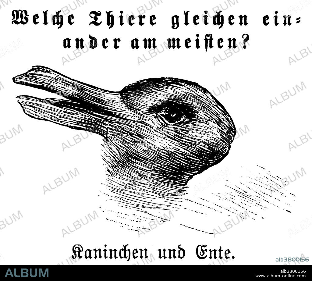 Entitled: "Welche Thiere gleichen einander am meisten? "(Which animals are most like each other?), with "Kaninchen und Ente" (Rabbit and Duck) written underneath. The rabbit-duck illusion is an ambiguous image in which either a rabbit or a duck can be seen. The earliest known version is from a 1892 issue of Fliegende BlÃ¤tter, a German magazine. An optical illusion is a phenomena where one seems to see something that doesn't exist or with another perspective. It is also called visual illusion and is categorized by visually apparent images. An optical illusion is basically a visually misleading image interpreted by the brain inaccurately. There are three main types: literal optical illusions that create images that are different from the objects that make them, physiological ones that are the effects on the eyes and brain of excessive stimulation of a specific type (brightness, color, size, position, tilt, movement), and cognitive illusions, the result of unconscious inferences.
