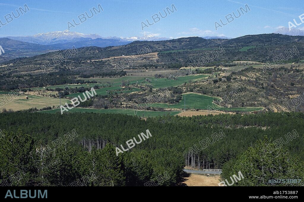 CORTAFUEGOS, entre las localidades de Torres del Obispo y Graus. Provincia de Huesca. Aragón. España.