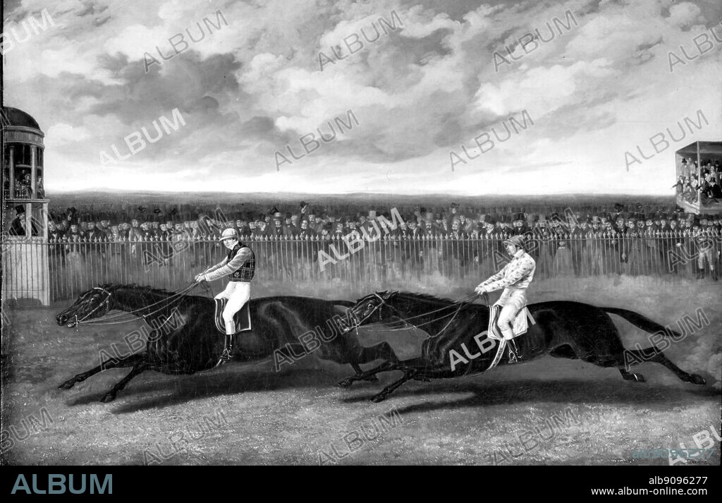 Flying Dutchman winning from Voltigeur at York 1851. Darley Arabian Sire line: King Fergus Branch. The Flying Dutchman was a talented horse of the highest class. This re-match, over two miles, held on May 13, 1851, was billed as the "Match of the Century." The stands were packed with thousands of spectators, and they were treated to a magnificent racing spectacle. Voltigeur, carrying eight and a half pounds less than his rival and under a new partner, Nat Flatman, made all the running until about a hundred yards from home when The Flying Dutchman, under a sober Charles Marlow, ranged alongside the younger horse. The two classic-winning champions raced as a team until The Flying Dutchman finally edged ahead to win by about a length. The History of Horse Racing by Roger Longrigg, page 128.