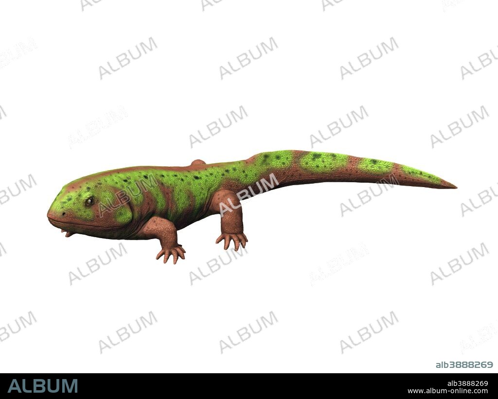 Pederpes is a tetrapod from the Early Carboniferous period of Scotland.