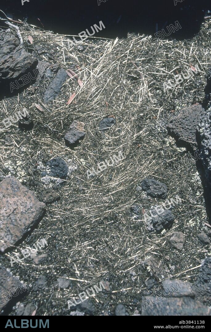 "Pele's hair," a geological term for volcanic glass threads formed when small particles of molten material are thrown into the air and spun out by the wind into long hair-like strands. The name derives from Pele, the Hawaiian goddess of volcanoes. Kilauea volcano, Hawaii Volcanoes National Park, Big Island, Hawaii.