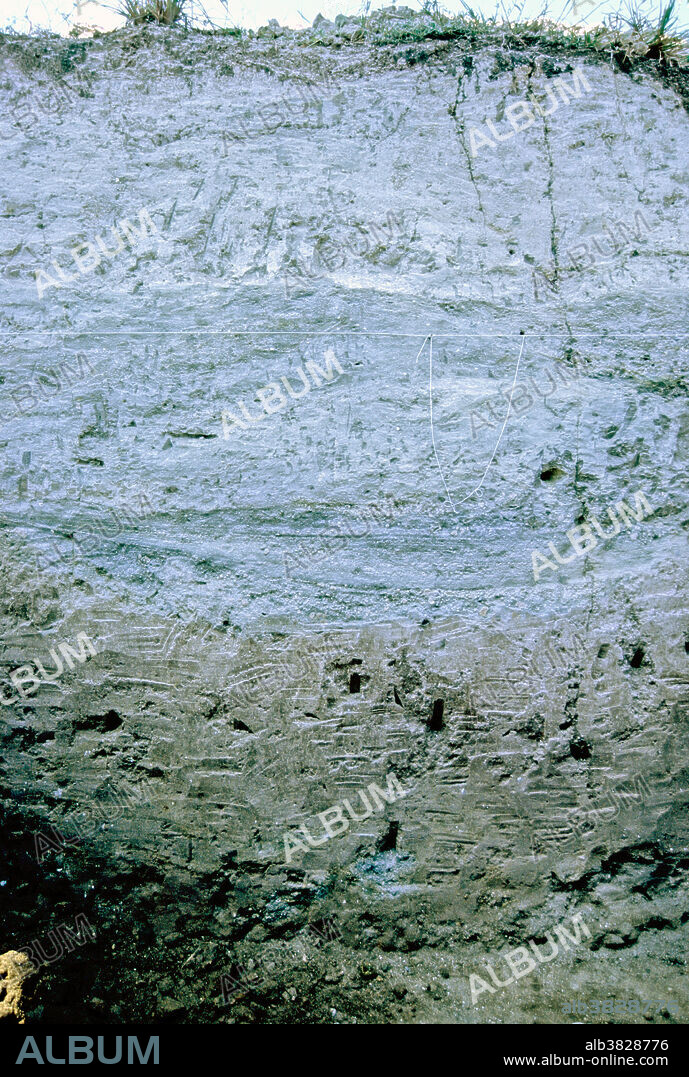 Archaeological excavations in 2006 at Mata Menge in the Soa Basin near Bajawa, Flores, East Nusa Tenggara, Indonesia. Homo floresiensis fossils were found here.