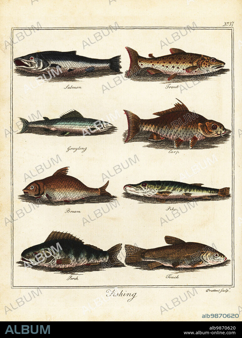 Fishing: salmon, trout, grayling, carp, bream, pike, perch, tench. Handcoloured copperplate engraving by Thomas Prattent from William Augustus Osbaldistons The British Sportsman, or Nobleman, Gentleman and Farmers Dictionary of Recreation and Amusement, J. Stead, London, 1792.