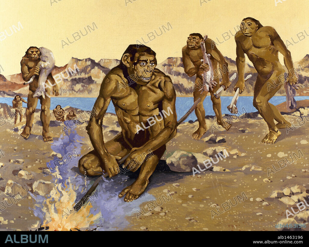 PREHISTORIA. Dibujo a color que reconstruye el modo de vida del "PITECANTROPUS ERECTURUS" (HOMBRE DE JAVA), incluido dentro de la especie HOMO ERECTUS.