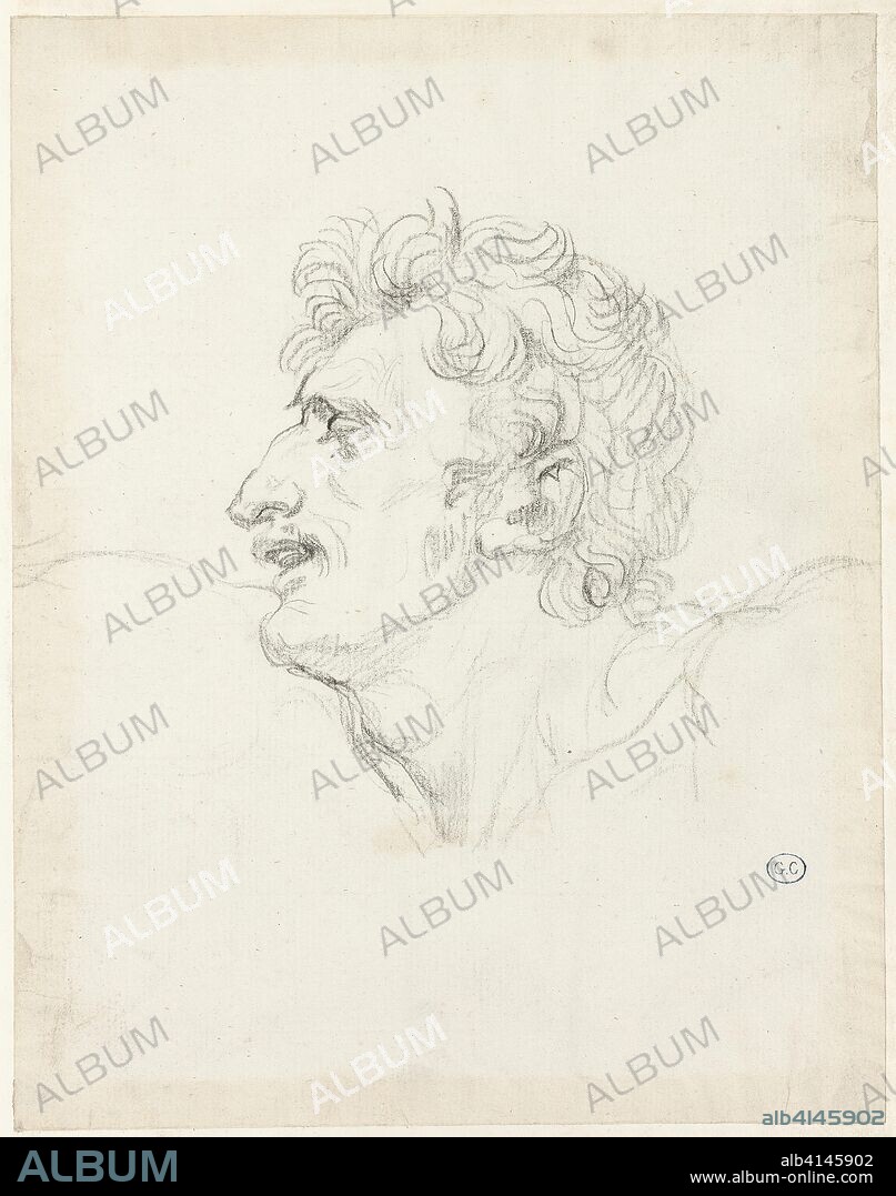 Head of a Man, Left Profile. Jacques Louis David; French, 1748-1825. Date: 1805-1815. Dimensions: 210 × 165 mm. Graphite, with traces of black chalk, on off-white laid paper, edge mounted on cream wove paper. Origin: France.