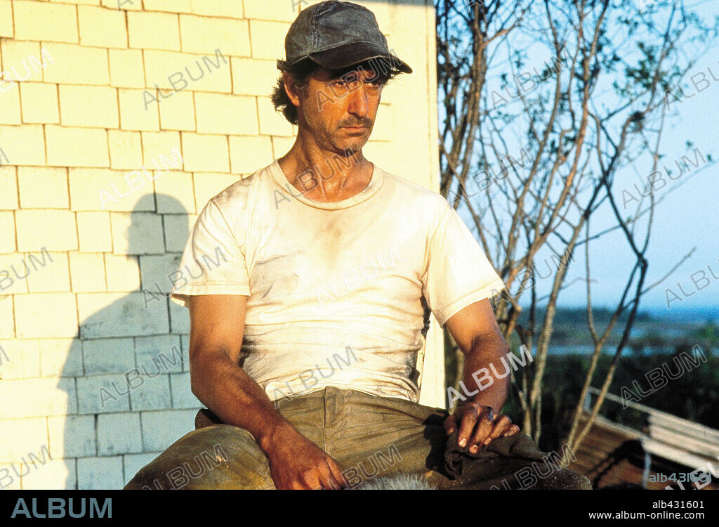 DAVID STRATHAIRN in DOLORES CLAIBORNE, 1995, directed by TAYLOR HACKFORD. Copyright CASTLE ROCK ENTERTAINMENT / CLIFFORD, JOHN.
