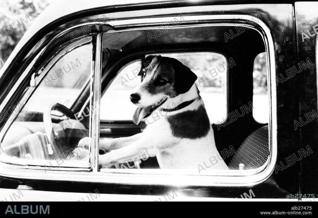 MI PERRO SKIP, 2000 (MY DOG SKIP), dirigida por JAY RUSSELL. Copyright WARNER BROS. PICTURES.