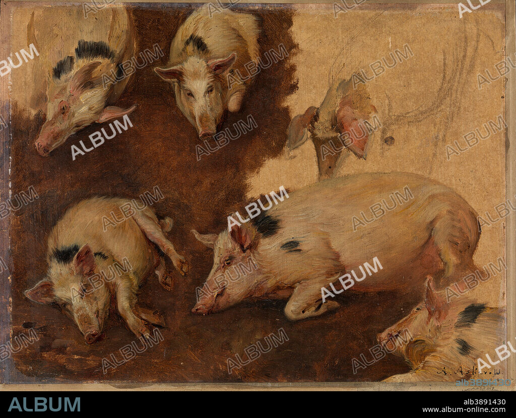 ANDERS ASKEVOLD. Study of six Pigs. Date/Period: 1900. Painting. Olje på papp-plate. Width: 41.5 cm. Height: 32 cm.