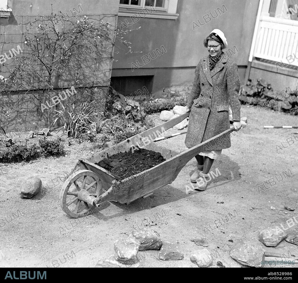 Göteborg 9 maj 1939. Student med skottkärra. Foto: Kamerareportage *** Local Caption *** GT Låda 1939-maj-01. KAMERAREPORTAGE.