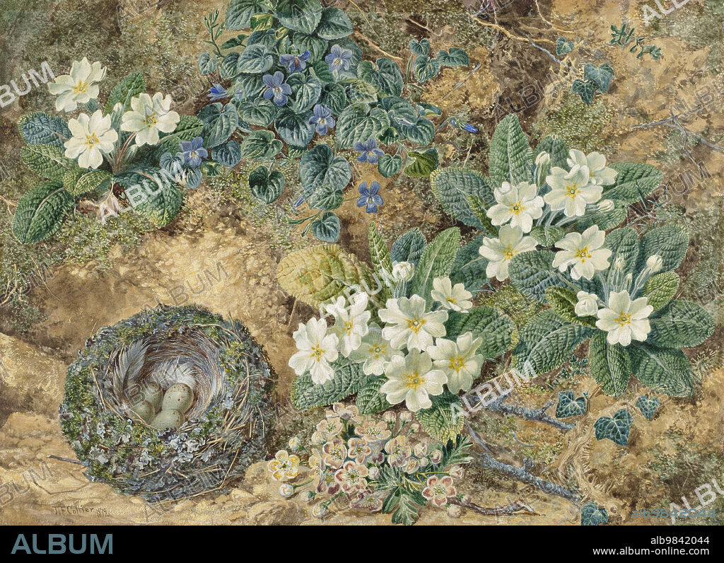 THOMAS FREDERICK COLLIER. Still life of a bird's nest, violets, primroses and apple blossoms, 1872. Still life of a bird's nest, blooming March violets, white primroses and a sprig of apple blossom against a yellow earthen background.