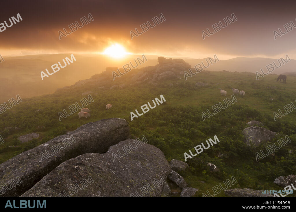 Misty summer sunset at Holwell Tor in Dartmoor National Park, Devon, England,United Kingdom, Europe.