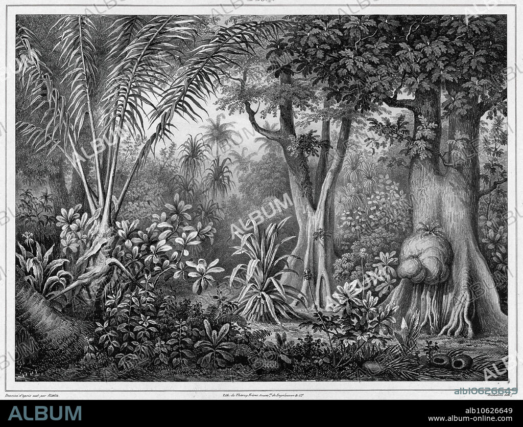GODEFROY ENGELMANN, FRIEDRICH HEINRICH KITTLITZ y LOUIS-PIERRE-ALPHONSE BICHEBOIS. View Taken in the Interior of the Lower Caroline Islands,19th century. One of 65 lithographs that were included in the volume of maps published after the round-the-world voyage of the corvette Seniavin commissioned by Tsar Nicholas I and carried out in 1826-29 under the command of Captain Fedor Litke (the Russian version of the name of Count Friedrich Lu¨tke, a Baltic German). The expedition began in Kronstadt (the main imperial Russian naval base near Saint Petersburg where Russian circumnavigations typically began and ended); it then traveled around Cape Horn to the Pacific Ocean. This voyage was one of many Russian scientific naval surveys in the first part of the 19th century.
