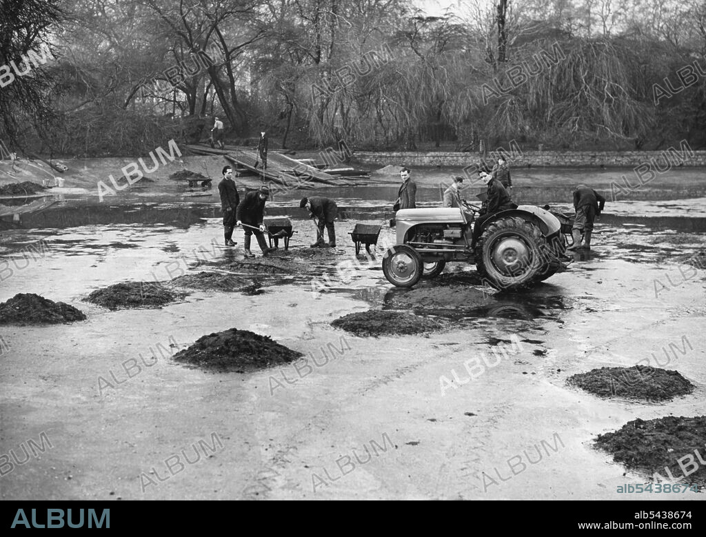 Lake Spring Cleaning For The Coronation - Men at work with tractor, getting the sludge away in the St. Jamees Park lake. The lake in St, James's Park is now undergoing its periodical "Spring" clean. It will take about a month to drain the lakes clear away the sludge, and make any repairs which may be necessary to the concrete bed. The lake was last cleaned in 1-950 and it has been started earlier on this occasion to ensure that it shall be completed in good time for the coronation. January 03, 1.