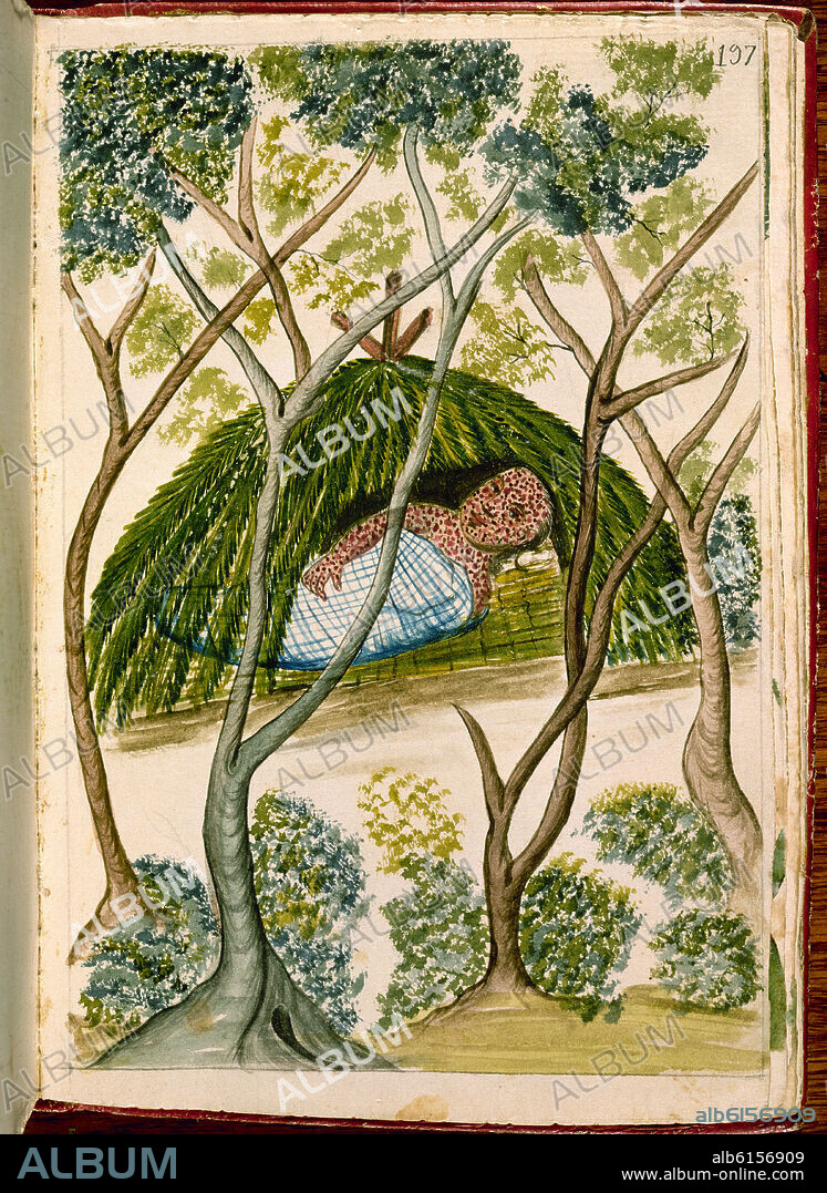 BALTASAR JAIME MARTÍNEZ COMPAÑÓN. CODICE TRUJILLO DEL PERU - TOMO II, E. 197 - INDIO ENFERMO DE VIRUELA - ACUARELA - SIGLO XVIII.