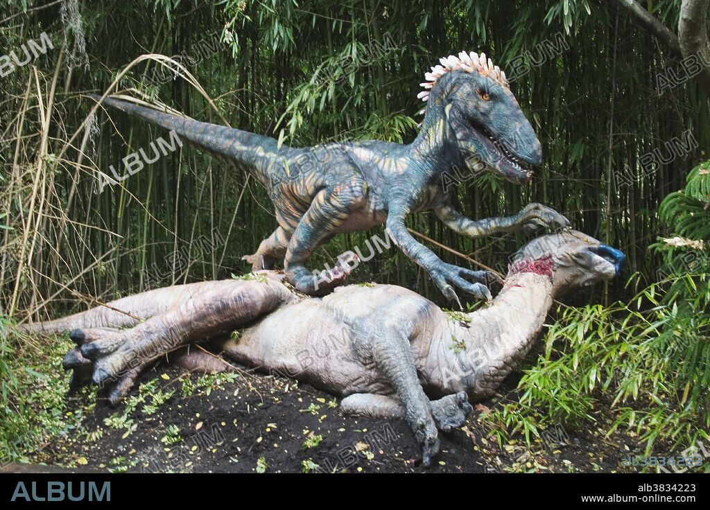 Deinonychus (Terrible Claw) feeding on Parasaurolophus dinosaur from the early Cretaceous period. Goes to a length of 10 feet and weighted 150 to 200 lbs. Thought to have hunted in packs and was a meat eater. Fossil site: United States.