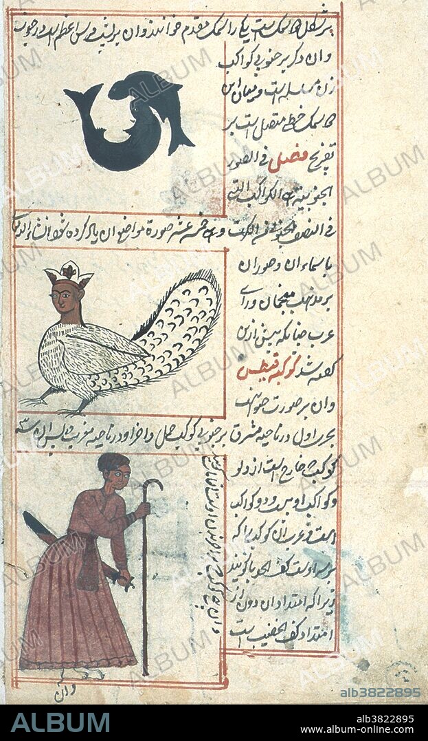 The zodiacal constellation of Pisces, in the middle, the southern constellation of Cetus shown here as a harpy wearing a crown, and, below, the constellation of Orion depicted as a man carrying a sword in his left hand and a shepherd's staff in his right. From 'Aja'ib al-makhluqat wa-ghara'ib al-mawjudat (Marvels of Things Created and Miraculous Aspects of Things Existing) by Abu Yahya Zakariya' ibn Muhammad al-Qazwini (1203-1283) an Arab physician, astronomer, geographer and proto-science fiction writer. The copy was made in 1537, probably in western India. Neither the copyist nor illustrator is named.