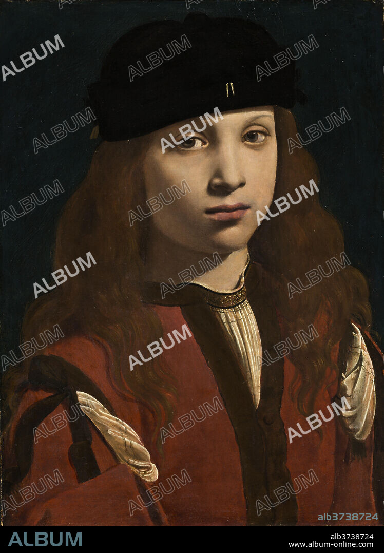 GIOVANNI ANTONIO BOLTRAFFIO. Portrait of a Youth. Dated: c. 1495/1498. Dimensions: overall: 46.8 x 34.8 cm (18 7/16 x 13 11/16 in.)  framed: 66.7 x 54.3 x 6.7 cm (26 1/4 x 21 3/8 x 2 5/8 in.). Medium: oil on walnut panel.