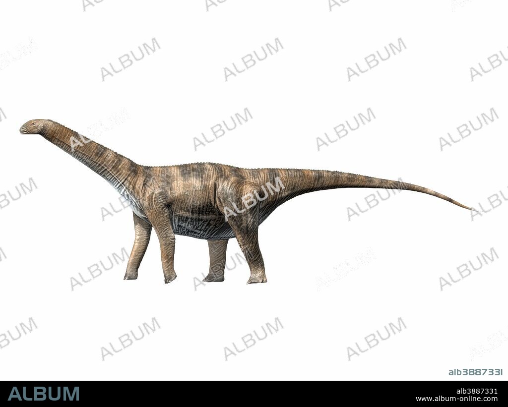 Cetiosaurus oxoniensis, Middle Jurassic of England.