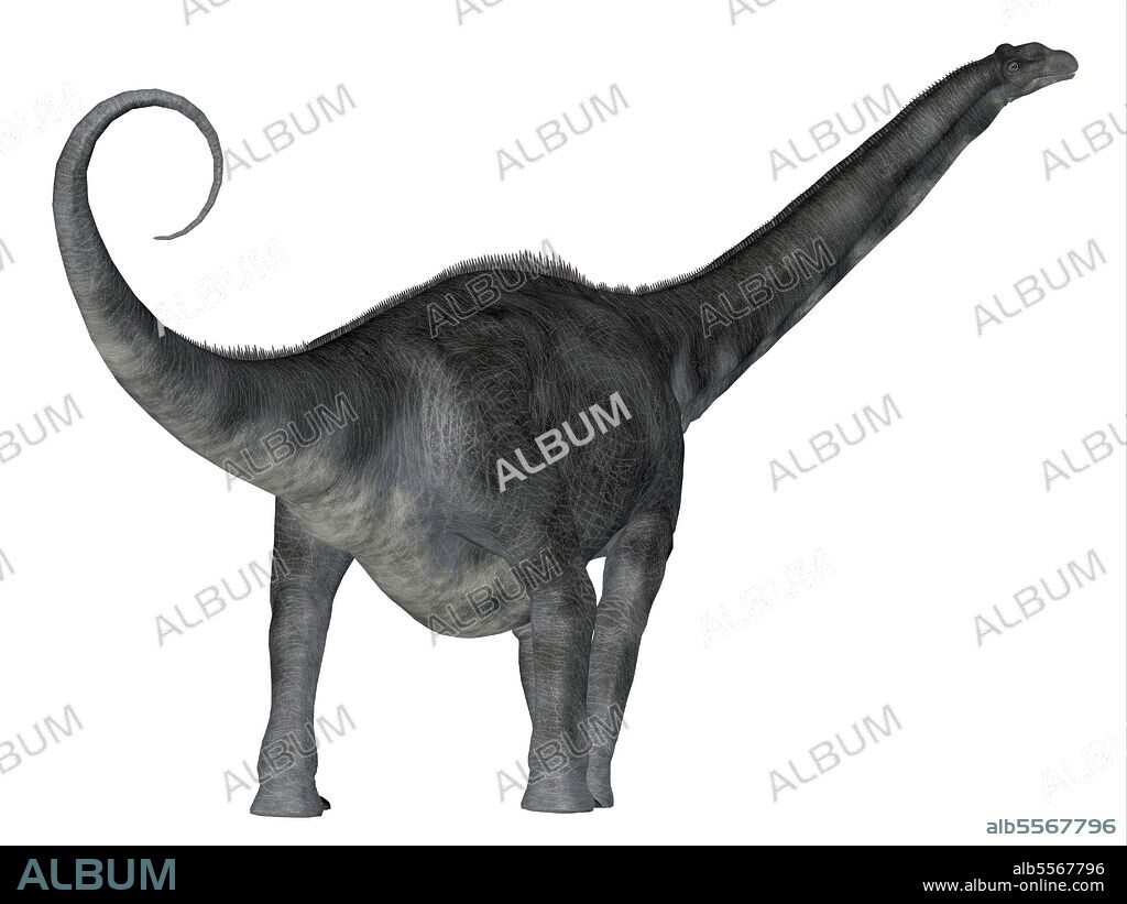 Argentinosaurus dinosaur, rear view. Argentinosaurus was a herbivorous sauropod dinosaur that lived in Argentina during the Cretaceous Period.