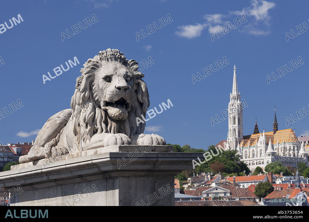Lion statue on Chain Bridge, Matthias Church on Castle Hill, UNESCO World Heritage Site, Budapest, Hungary, Europe.