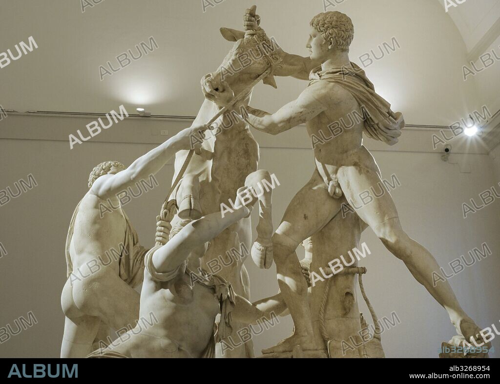 Toro Farnesio. La mayor escultura en bulto redondo de la antigüedad Clásica, obra de Apolonio de Atenas, 130 A. C. Epoca Helénica. Representa el suplicio de Dirce. Hallada en las Termas de Caracalla, Roma. Versión romana tardía. Colección Farnese. Museo Arqueológico Nacional. Nápoles. Italia.