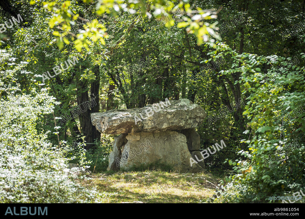 dolmen of Cap Del Pouech, commune of Mas-d'Azil, Ariège Pyrenees regional natural park, Arize massif, French Republic, Europe.