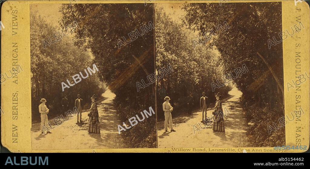 Willow Road, Lanesville, Cape Ann scenery., still image, Stereographs, 1850 - 1930, Moulton, John S. (b. ca. 1820).