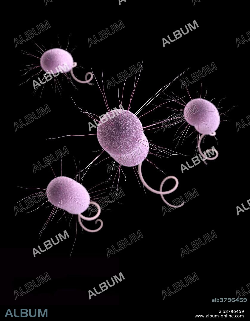 Multidrug-resistant Pseudomonas aeruginosa. Pseudomonas aeruginosa is a leading cause of nosocomial infections and is responsible for 10% of all hospital-acquired infections. Infections caused by P. aeruginosa are often life-threatening and are difficult to treat because of antibiotic resistance. According to the Centers for Disease Control and Prevention, more than two million people in the United States get infections that are resistant to antibiotics and at least 23,000 people die as a result. Over-prescription of antibiotics leads to antibiotic-resistant germs.