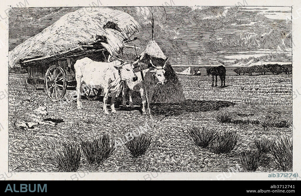 GIOVANNI FATTORI. Oxen Yoked to the Cart (Maremma) [Bovi al carro (Maremma)]. Dated: 1886/1887. Dimensions: sheet: 36.8 × 49.6 cm (14 1/2 × 19 1/2 in.)  plate: 25 × 42.3 cm (9 13/16 × 16 5/8 in.). Medium: etching on wove paper.