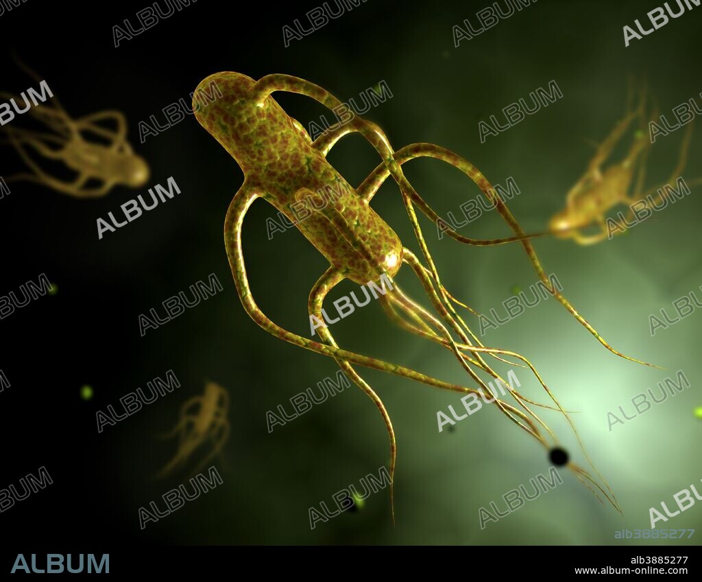 Conceptual image of salmonella typhi causing typhoid.