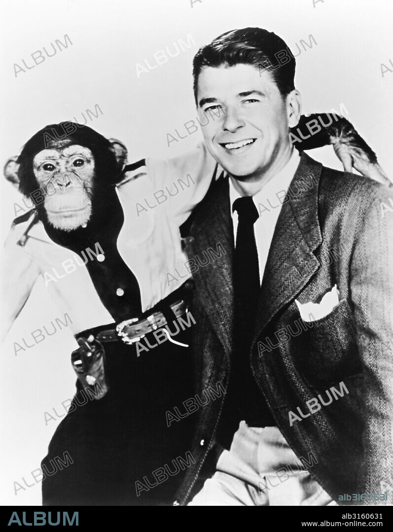 Hollywood, California: 1951 A promotional shot of Ronald Reagan and Bonzo the chimpanzee for the movie, 'Bedtime for Bonzo'.