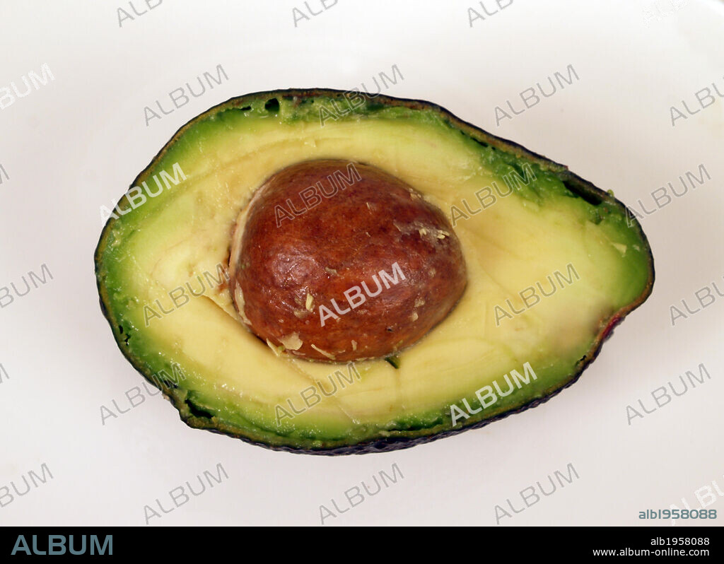 AGUACATE en sección mostrando el hueso (SEMILLA), la pulpa y el endocarpo. (Persea americana) .