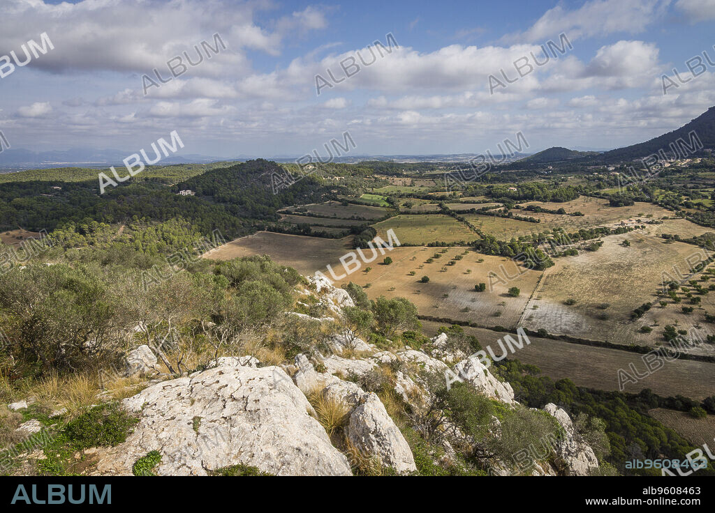 zona llana proxima a Randa, sierra de Galdent, Algaida-Llucmajor, Mallorca, balearic islands, spain, europe.