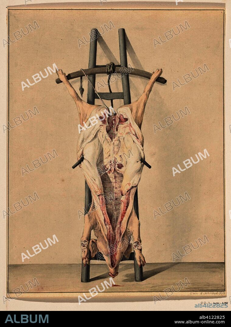 Sex pig. Draughtsman: Jean Bernard. Dating: 8-Nov-1796. Measurements: h 275 mm × w 210 mm.