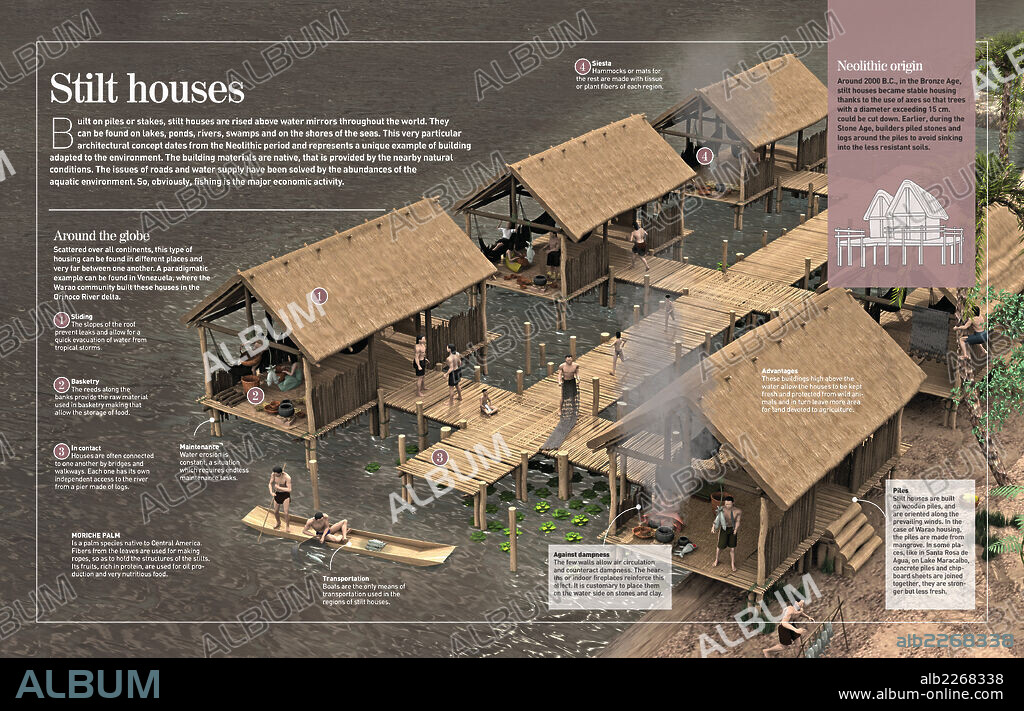 El palafito. Infografía sobre el palafito, un tipo de vivienda originaria del Neolítico, que se construía sobre el agua, con detalle de las construidas por la comunidad warao (Venezuela).