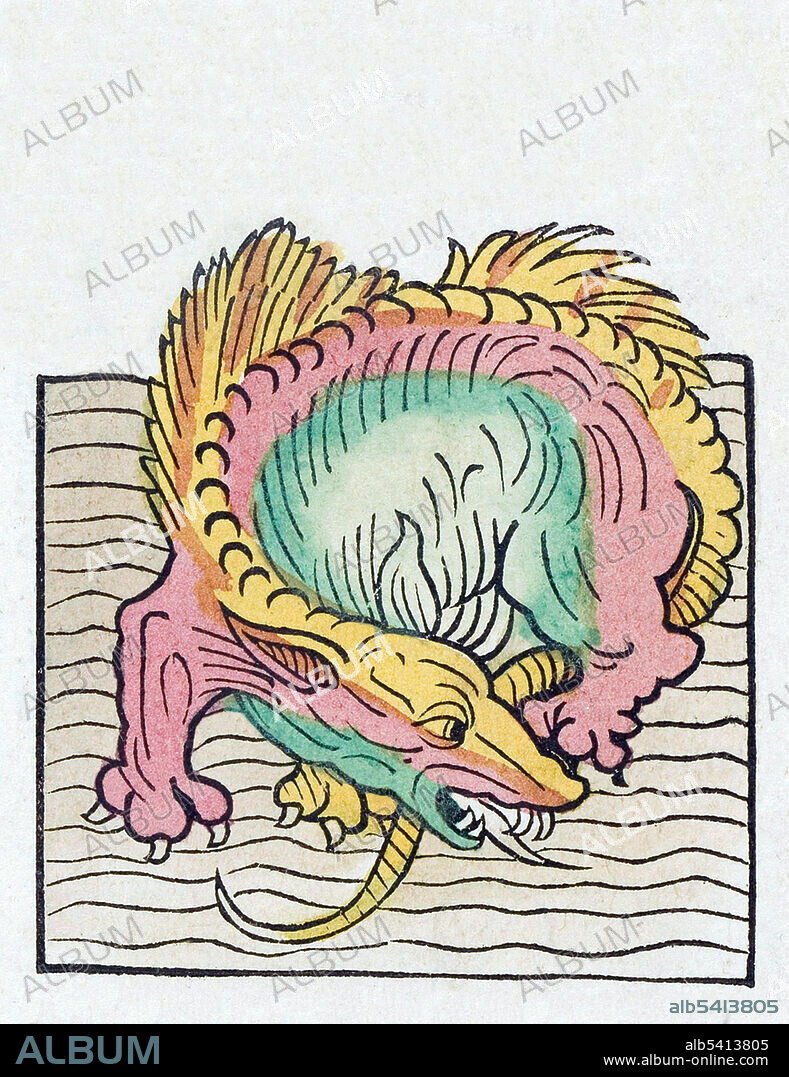 A sea serpent or sea dragon is a type of dragon described in various mythologies, most notably Greek (Cetus, Echidna, Hydra, Scylla), Mesopotamian (Tiamat), Hebrew (Leviathan), and Norse (Jörmungandr). The Hortus Sanitatis (Garden of Health), the first natural history encyclopedia, was published by Jacob Meydenbach in Germany, 1491.