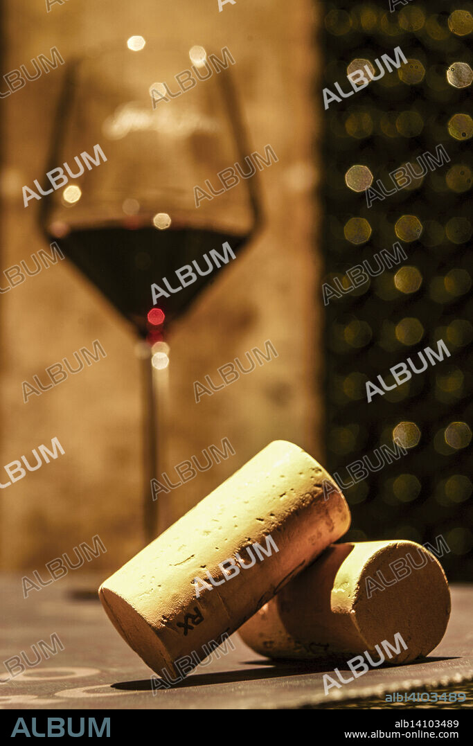 José L. Ferrer Wineries (Denomination of origin, Binissalem). Binissalem.Mallorca.Balearic Islands.Spain.