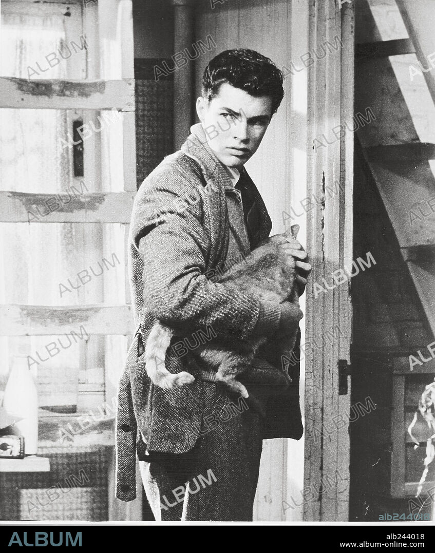RICHARD BEYMER in THE DIARY OF ANNE FRANK, 1959, directed by GEORGE STEVENS. Copyright 20TH CENTURY FOX.
