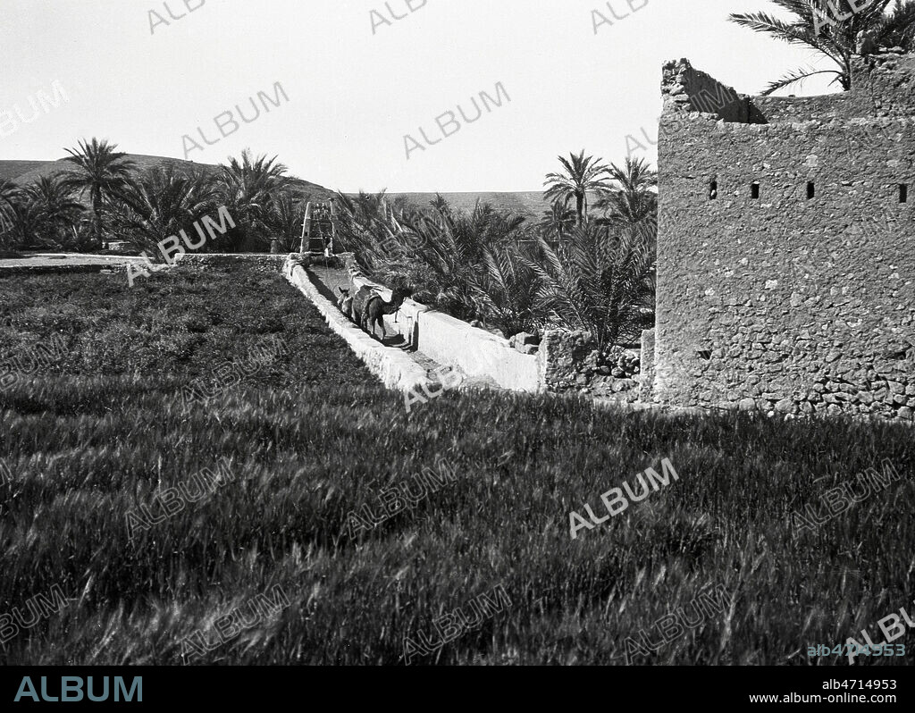 Systeme pour puisser de l'eau a l'aide de poulie et d'un chameau pour irriger les champs dans la vallee de M'Zab en Algerie. Photographie de Jean BRUNHES (1869-1930). Credit: Brunhes-Delamarre/KHARBINE-TAPABOR.