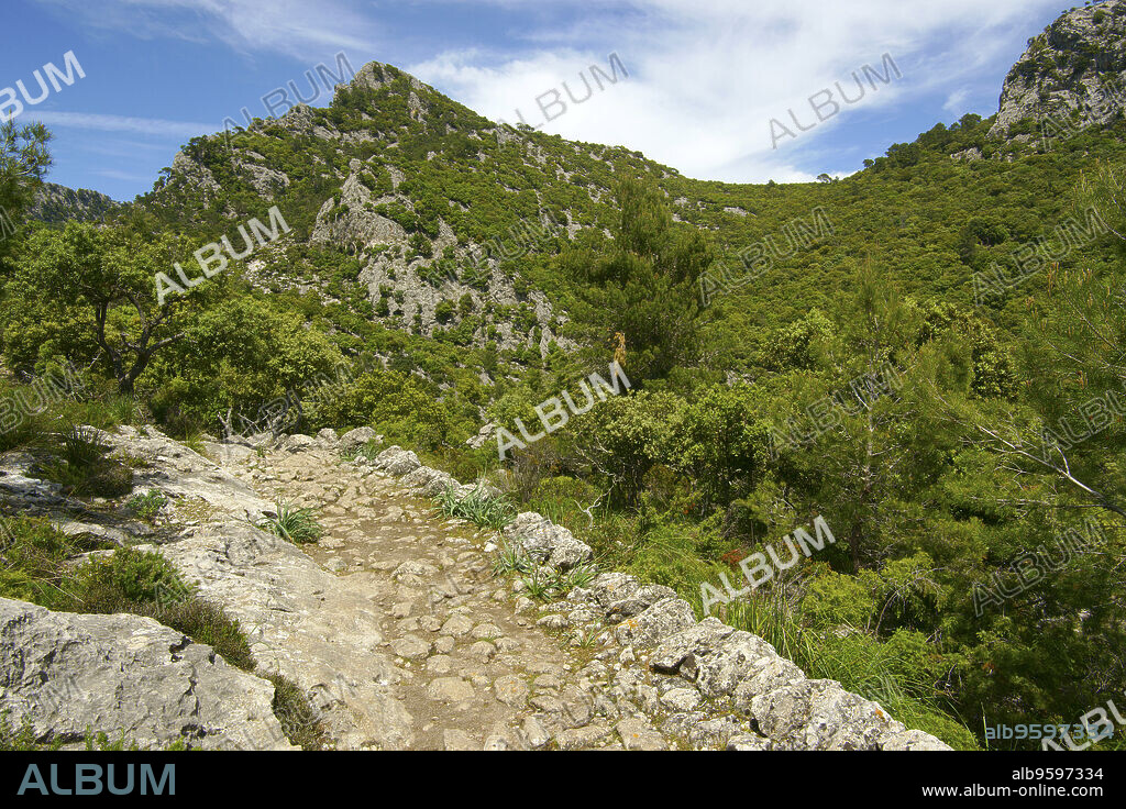 Camino de Es Tossals Verds al Coll des Coloms. Sendero de gran recorrido G.R. 221.Sierra de Tramuntana.Mallorca.Baleares.España.
