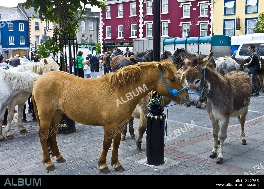 Horse fair in market square in Kilrush, Co. Clare, Ireland. Traditional for locals and travellers to trade horses and donkeys.