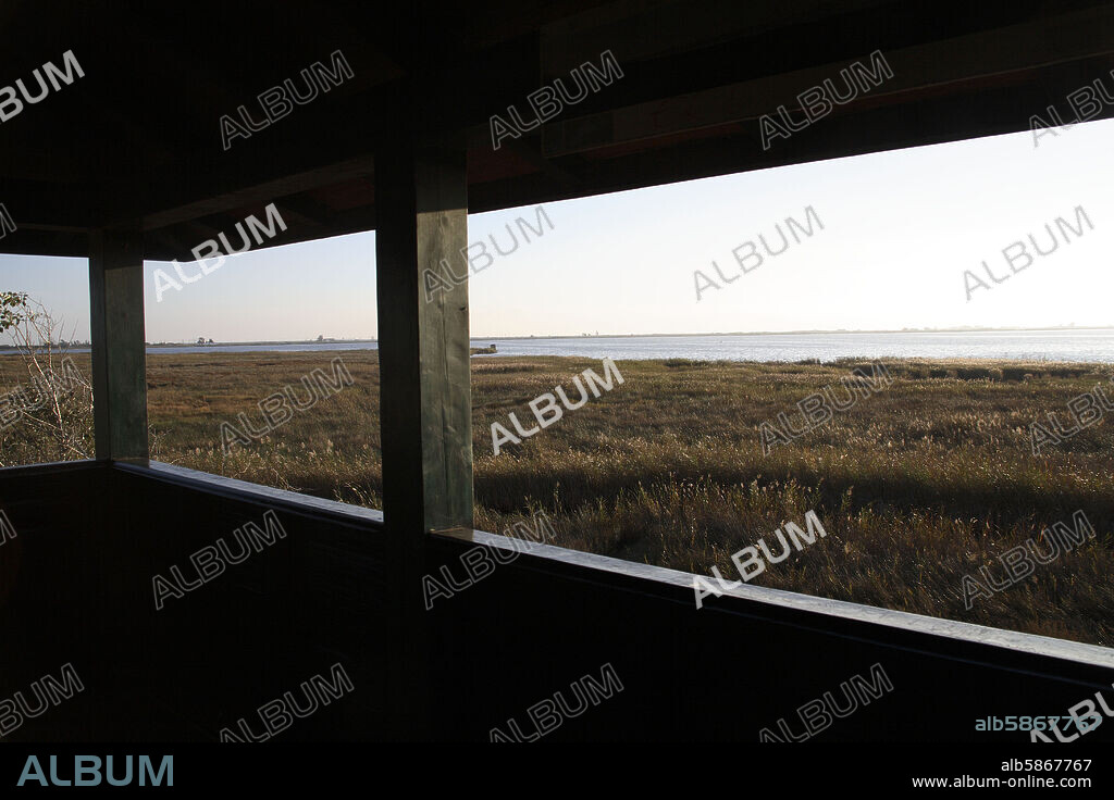 Delta del Ebro; "L' Encanyissada" desde el mirador de "La Caseta de Fusta".