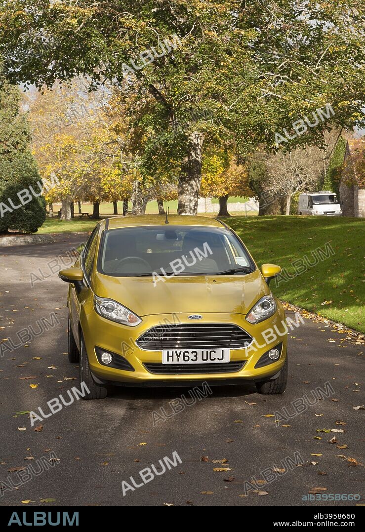2013 Ford Fiesta Econetic.