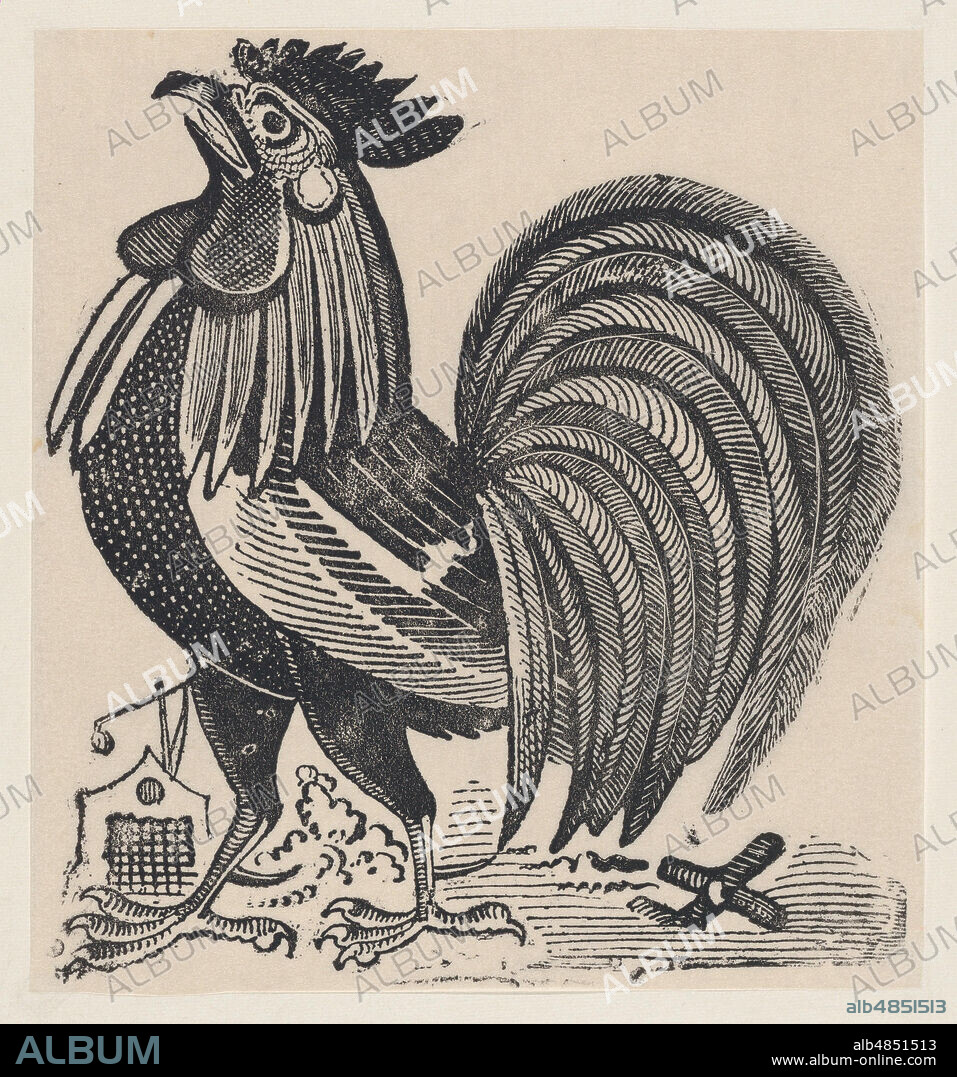 A rooster, ca. 1880-1910.