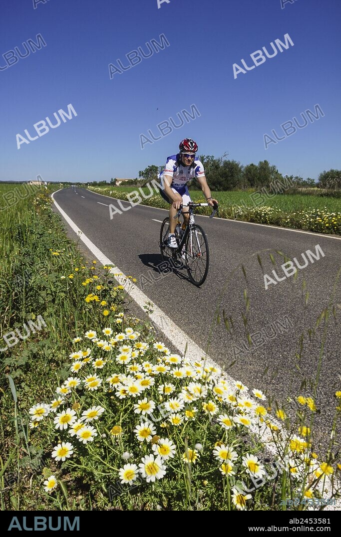 ciclistas en la carretera de Es Trenc, Campos del Puerto , Mallorca,Islas Baleares,Spain.