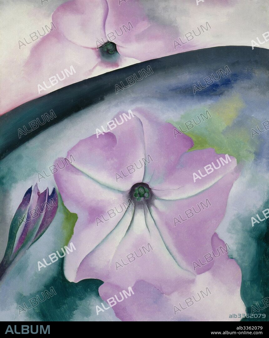 GEORGIA O'KEEFFE. Petunia No. 2.