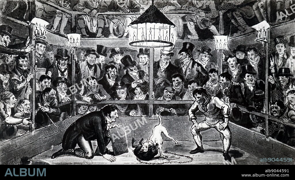 Tom and Jerry at the Westminster Pit watching a fight between a monkey and a bull terrier. London, 1821.